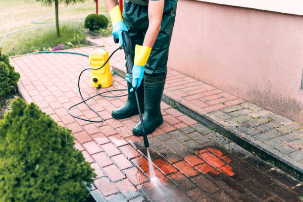 Best Driveway Pressure Washing  in Selma, AL