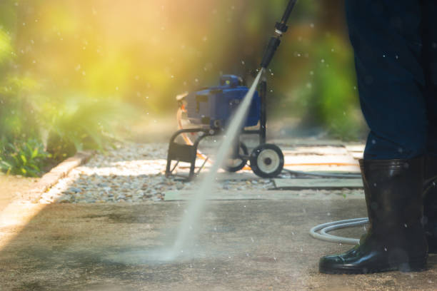 Best Sidewalk and Walkway Cleaning  in Selma, AL